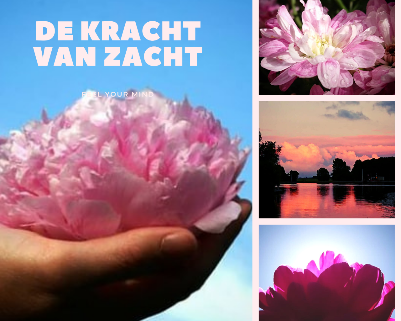 De kracht van zacht