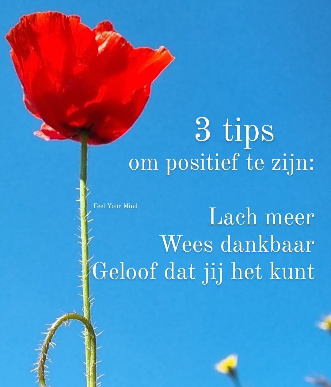 3 tips