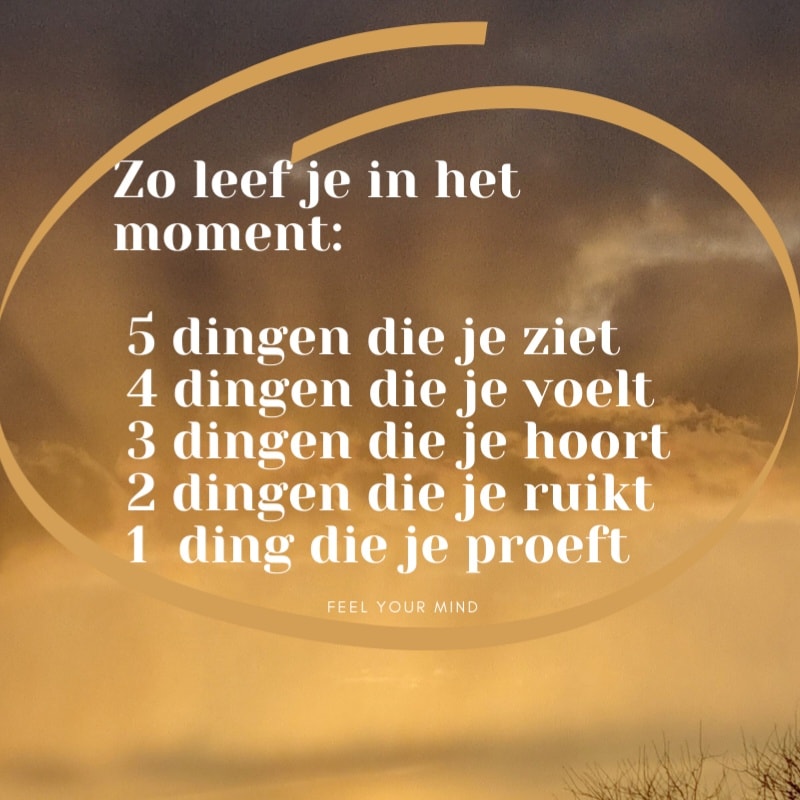 Mindfulness - in het moment leven